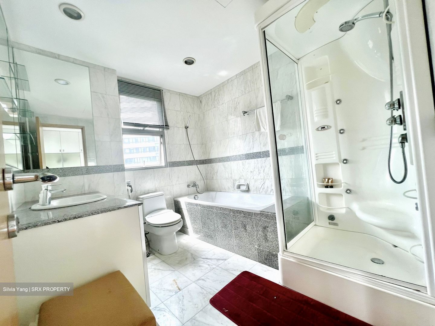Newton 21 (D11), Apartment #543853131